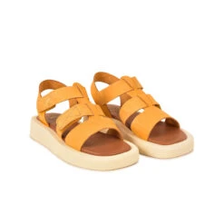 Pataugas ATARI/NU F2I OCRE 3 Pataugas ATARI/NU F2I OCRE -Pataugas Boutique SANDALE FEMME ATARI NU F2I OCRE 628448 251 4 0fc7fac9 5088 4f30 8f1a 4cc7a3bacf39